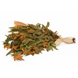 Golden & Olive Farmhouse Willow Bundle