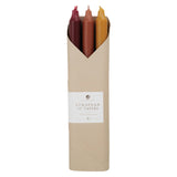 Taper Candles Set of 6 in Autumn Harvest