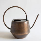 Copper Patina Watering Can