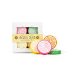 Citrus Fruit Slices Handmade Sidewalk Chalk