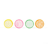 Citrus Fruit Slices Handmade Sidewalk Chalk