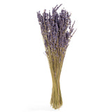 Preserved French Lavender Bundle