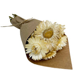 Mini Strawflower Bundle
