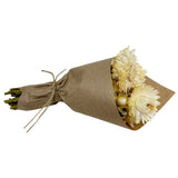 Mini Strawflower Bundle