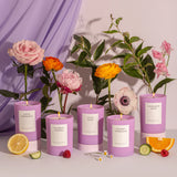 Brooklyn Candle Studio Lavender Daze Candle