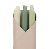 Taper Candles Set of 6 in Sage