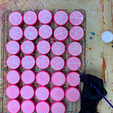 Citrus Fruit Slices Handmade Sidewalk Chalk