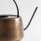 Copper Patina Watering Can
