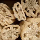 Natural Loofah Sponge & Scrubber