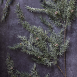 Faux Cedar and Pinecone Branch