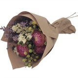 Mini Strawflower & Larkspur Floral Bouquet Bundle