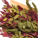 Red & Olive Farmhouse Willow Bundle
