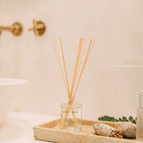 Brooklyn Candle Studio Reed Diffusers in Fern + Moss