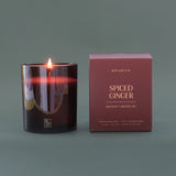 Spiced Ginger Holiday Candle