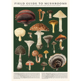 Mushrooms Puzzle - 500 Pieces