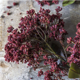 Faux Butterfly Bush Branch in Rouge