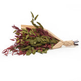 Red & Olive Farmhouse Willow Bundle
