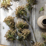 Faux Butterfly Bush Branch