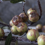 Faux Dappled Rosehip Branch