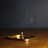 Commonwealth Provisions Incense Cones in Blue Ridge Campfire