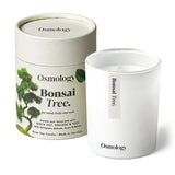 Osmology Scented Candle in Bonsai Tree