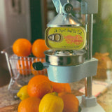 Tinned Fish Candle - Citrus Nectar