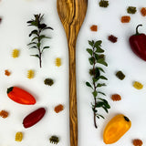 Long Olive Wood Spoon
