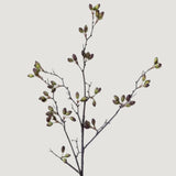 Faux Barberry Branch