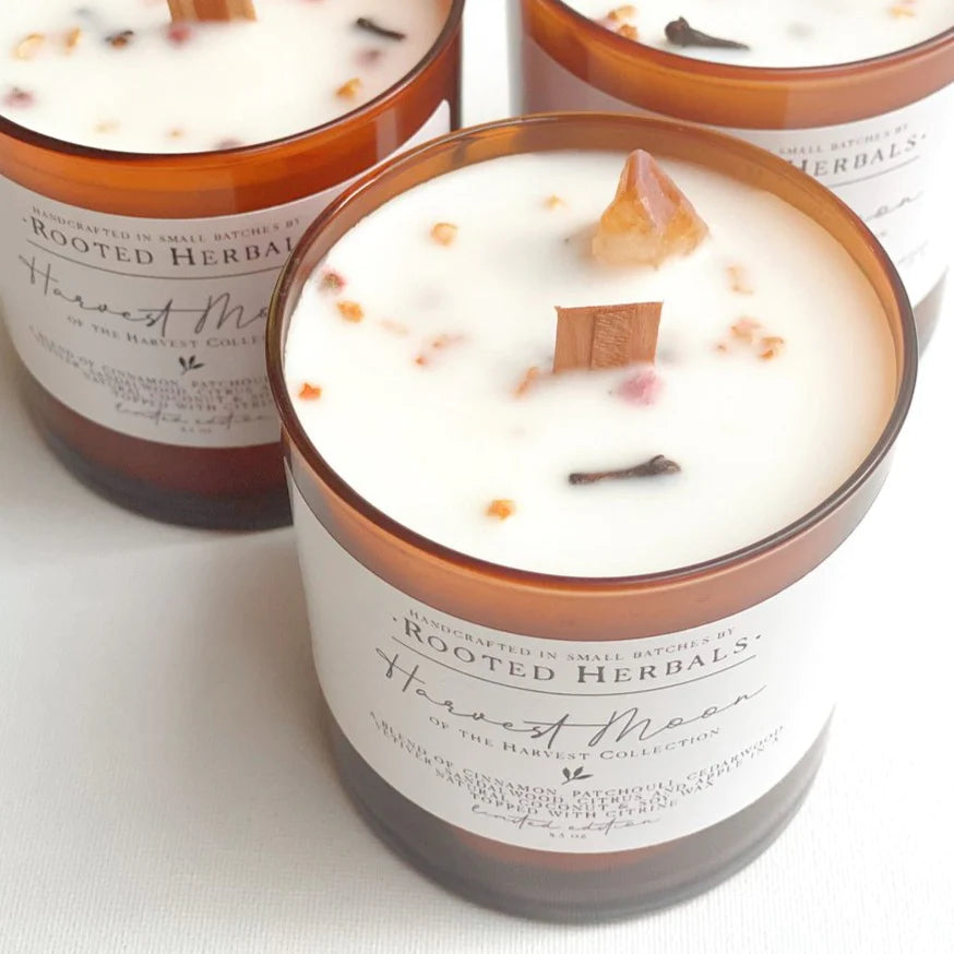 Rooted Herbals Fall Seasonal Candles (Multiple Scents Available)