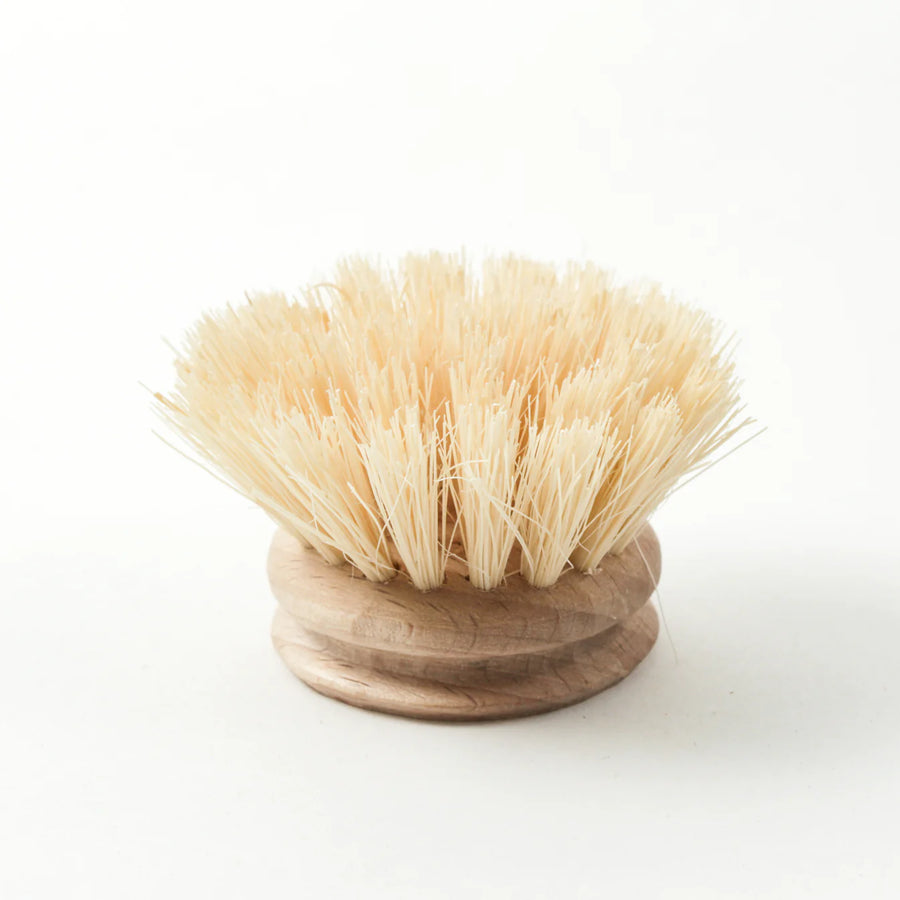 Andrée Jardin Tradition Dish Brush and Refills